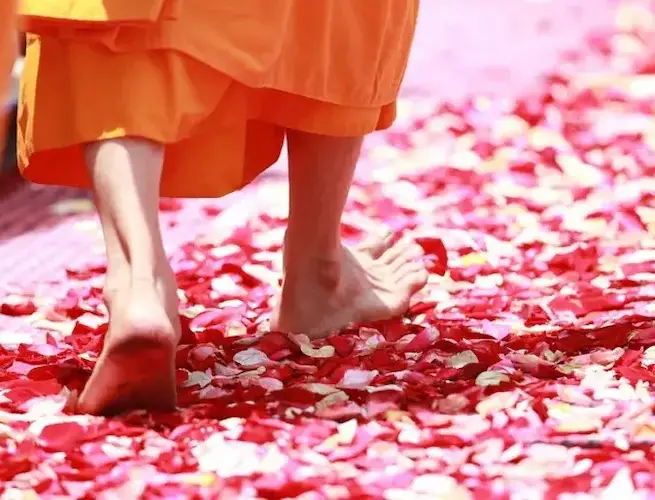 Buda ağacın altında meditasyon yapıyor; Budizm’de kendini sevmek ve şefkat kavramlarının görsel temsili.