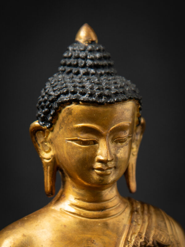 Eski Bronz Nepal Tıbbi Buda Heykeli - Görsel 6