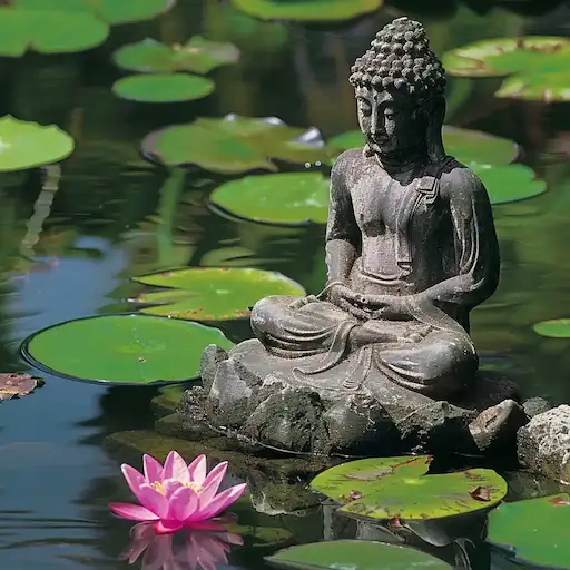 Sudaki lotus çiçekleri arasında oturan Buda heykeli, huzur ve dinginlik simgesi
