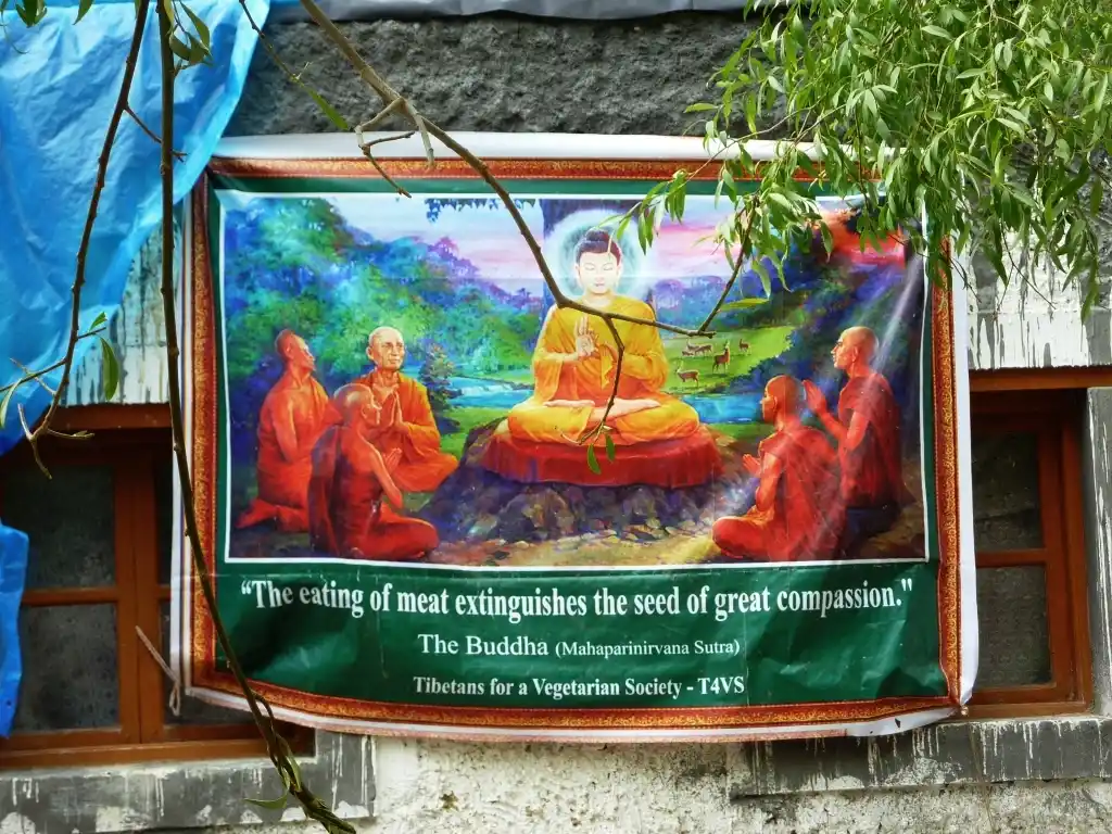 Budizm'de vejateryen olmak şart mı? Key Manastırı, Spiti, Hindistan’da vejetaryenliği teşvik eden tabela