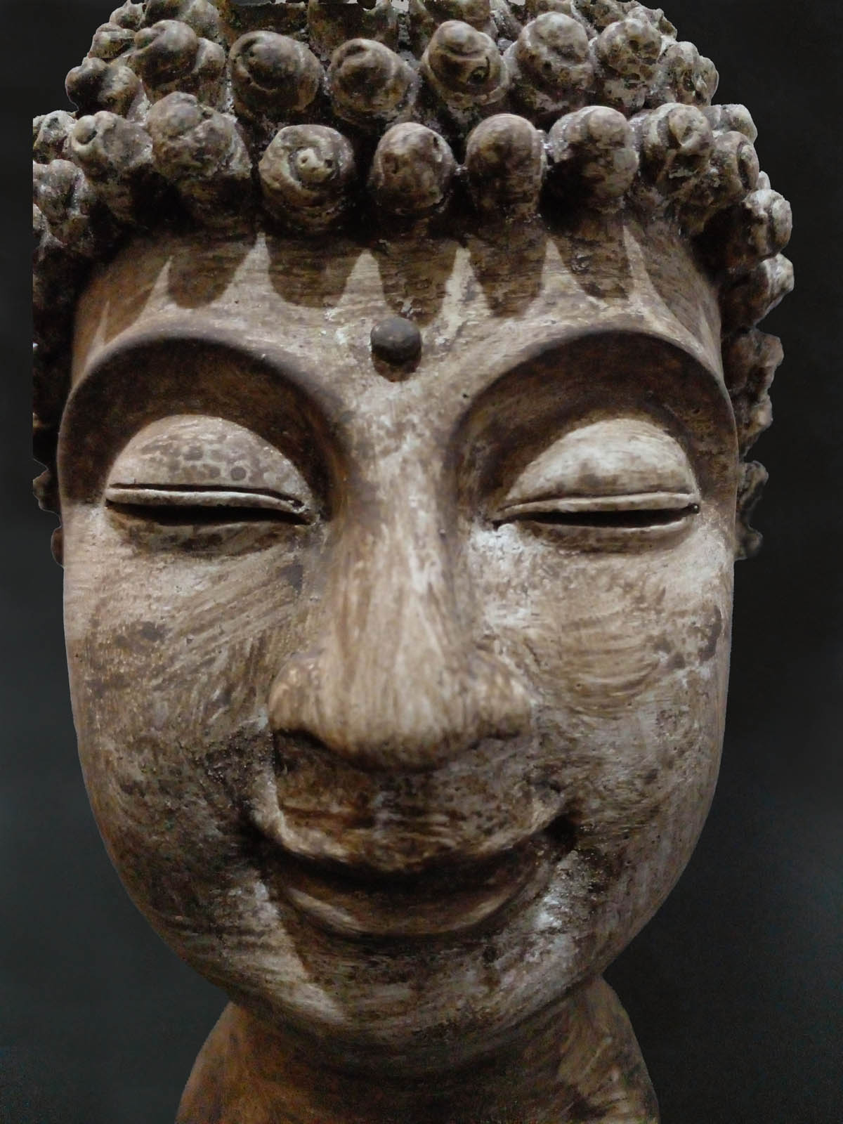 Kahverengi Buda Başı Heykeli - Önden yakın görünüm